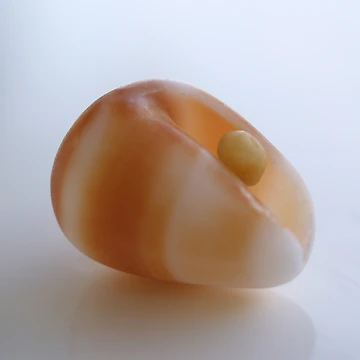 Artwork thumbnail, Shell by Jo Young