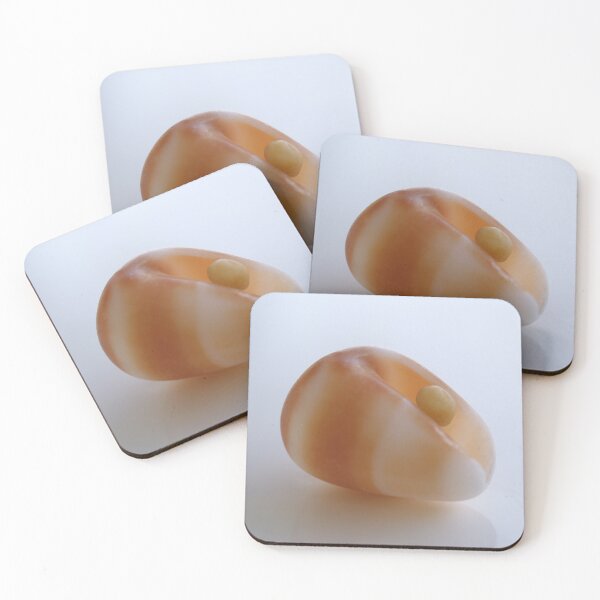 Item preview, Shell designed and sold by Jo  Young.