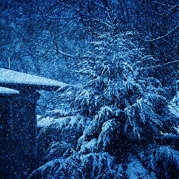 Artwork thumbnail, Winter at Night by Pat Moore