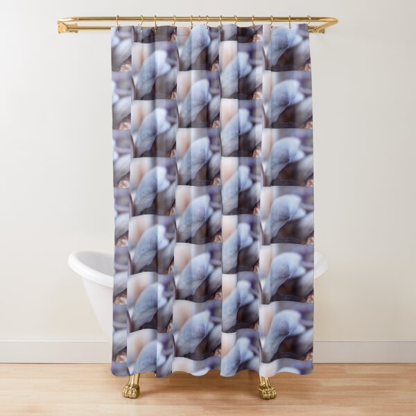 Shell Blue Shower Curtain