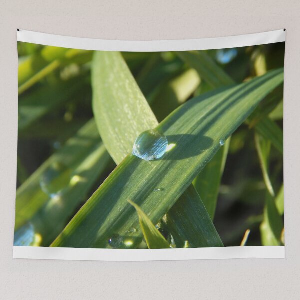 Item preview, water drop on blade of grass designed and sold by Stephanie  Skeem.
