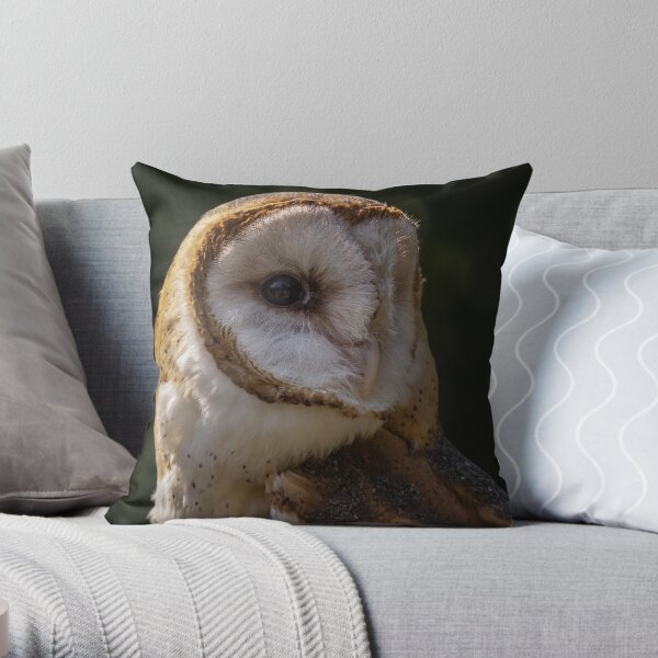 Barn Owl Throw Pillow