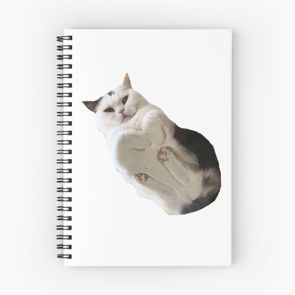 Item preview, Cat Meme designed and sold by Rachel Meiners.