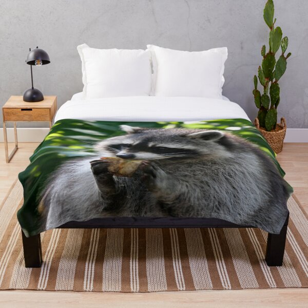 Item preview, Raccoon 001 designed and sold by JAMFoto.