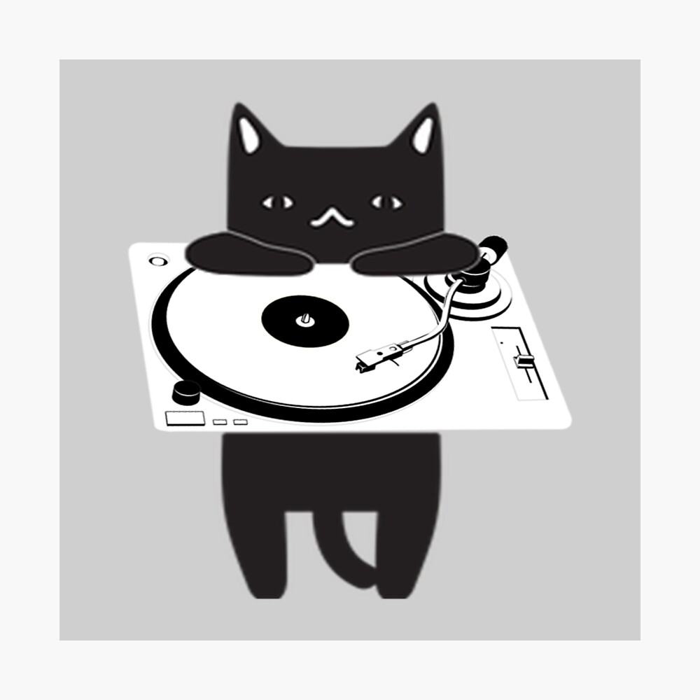 Funny Cute DJ Cat