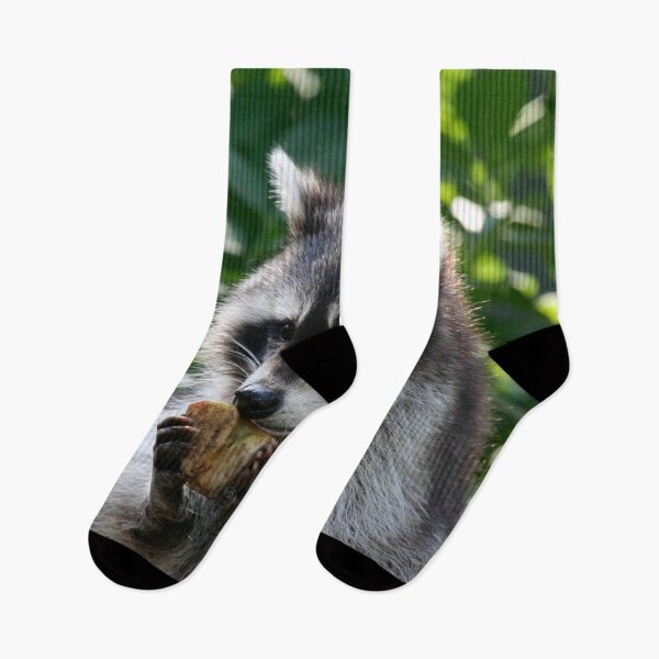Item preview, Raccoon 001 designed and sold by JAMFoto.