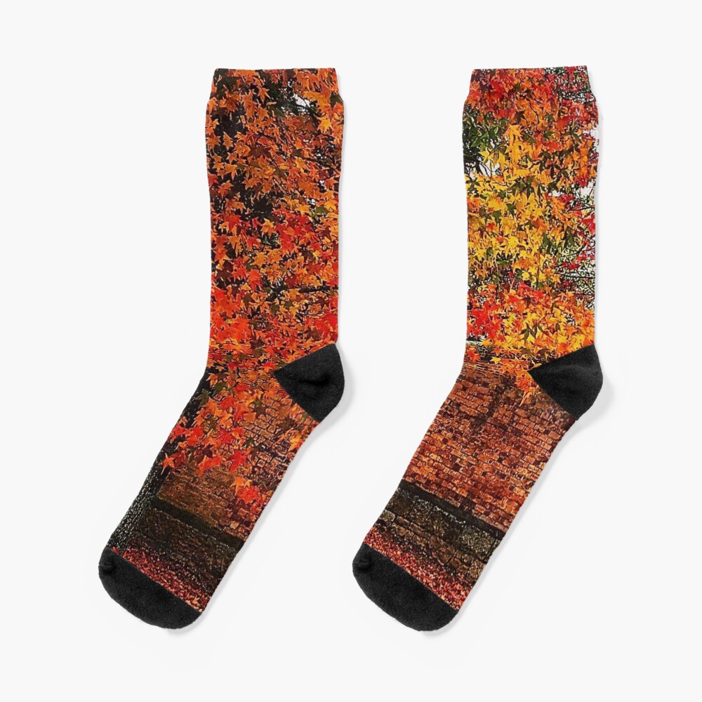 “Autumn colour” Socks by GlenJohnson | Redbubble