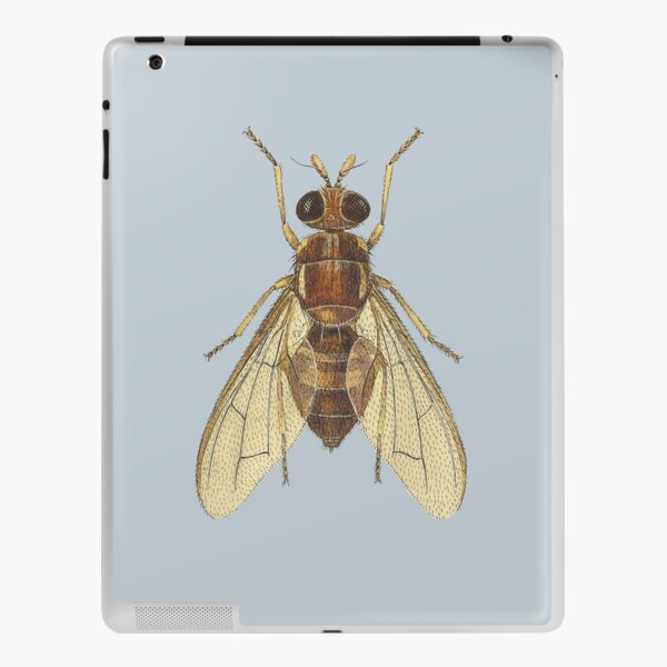 The Queensland Fruit Fly (cut-away) iPad Skin