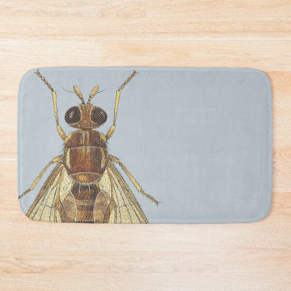 Item preview, The Queensland Fruit Fly (cut-away) designed and sold by BiosecurityColl.