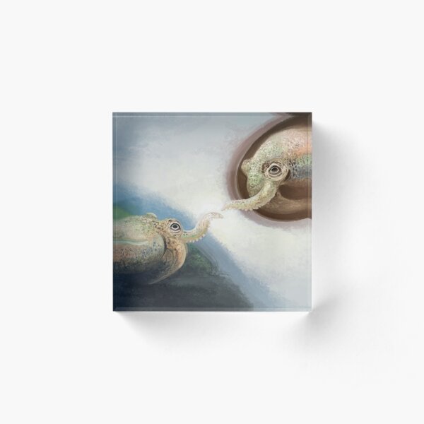 The Creation of Squadam Acrylic Block