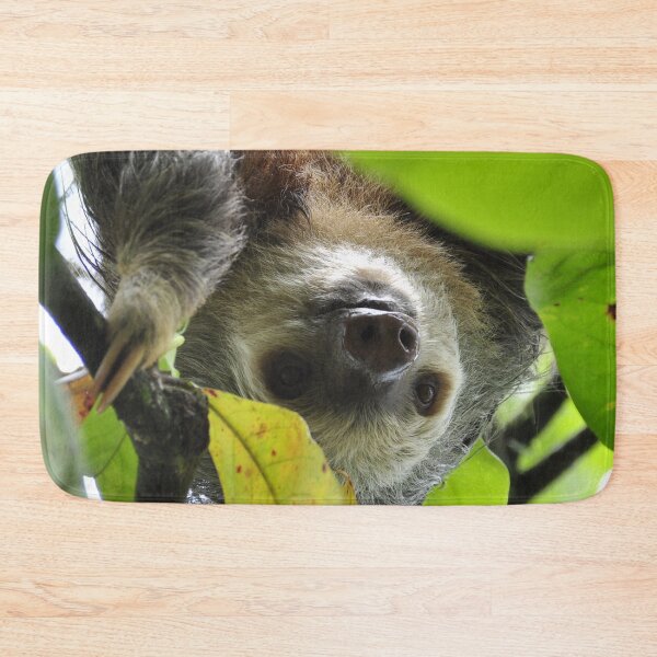 Item preview, Sloth 002 designed and sold by JAMFoto.