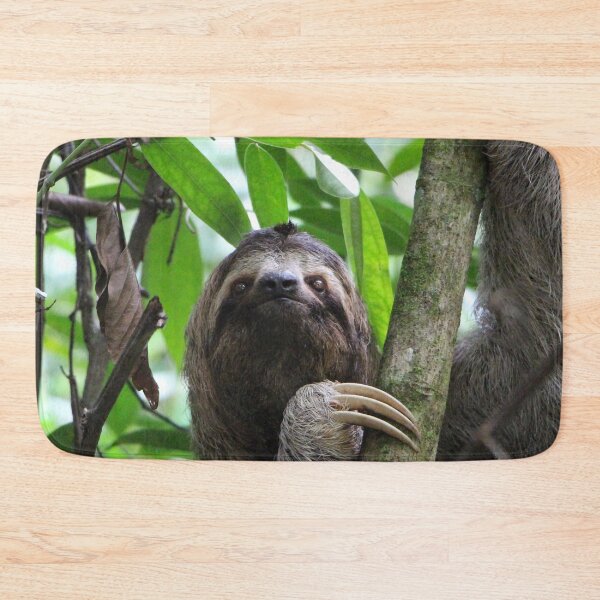 Item preview, Sloth 001 designed and sold by JAMFoto.