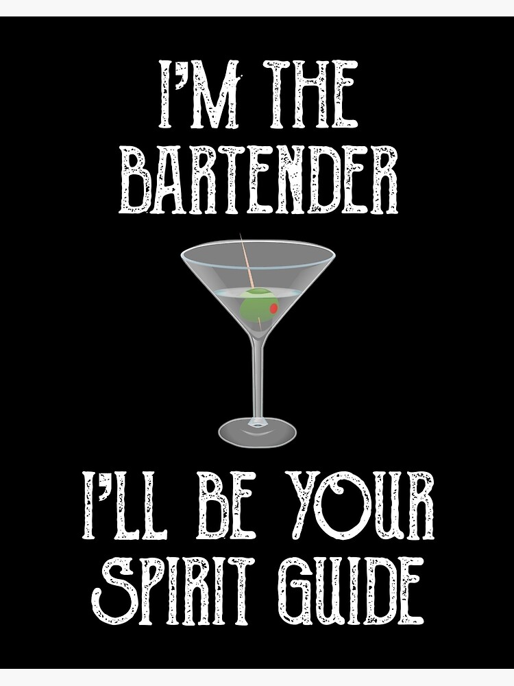 YA BASICS- Pretend Bartender Beginners Guide/Louis Jadot