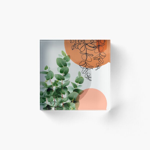 Simpatico V4 Acrylic Block