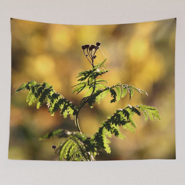 Item preview, A Warm Autumn Glow designed and sold by cuprum.