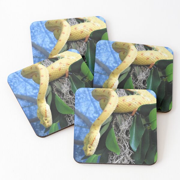 Item preview, Eyelash Viper designed and sold by kirstybush.
