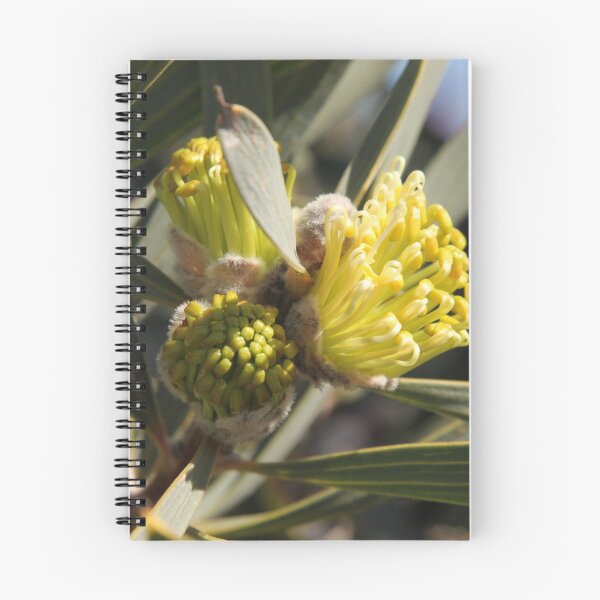 Item preview, The Not So Faraway Garden Series 2 - 117 designed and sold by beeden.