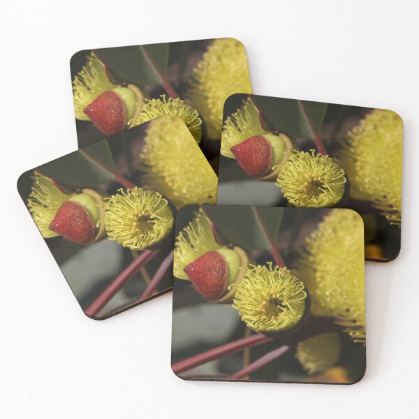Item preview, The Not So Faraway Garden Series 2 - 120 designed and sold by beeden.