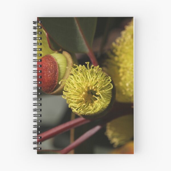 Item preview, The Not So Faraway Garden Series 2 - 120 designed and sold by beeden.