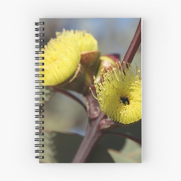 Item preview, The Not So Faraway Garden Series 2 - 124 designed and sold by beeden.