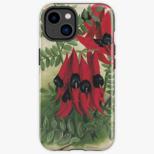 Western Australia wild flower Sturt's Desert Pea - Clianthus Dampieri State Library of Western Australia iPhone Tough Case