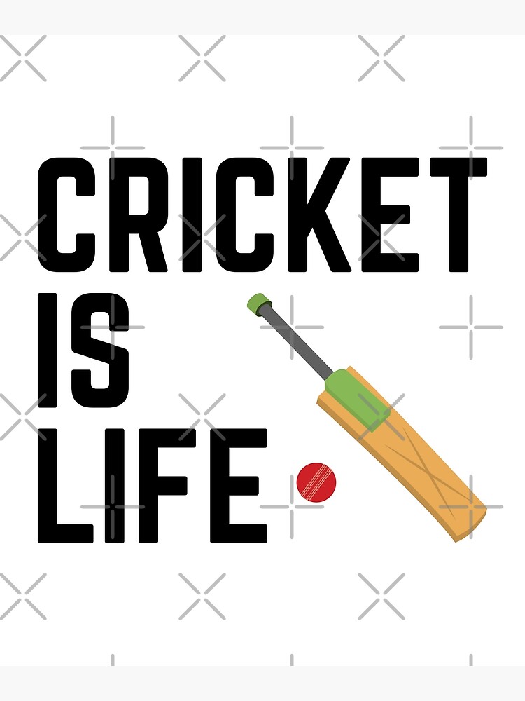Cricket six birthday party