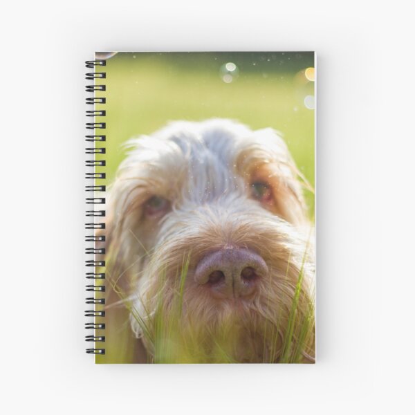 Thoughts escape me Spiral Notebook
