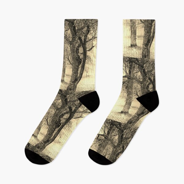 Item preview, Autumn Trees No. 5 designed and sold by Barry W  King.