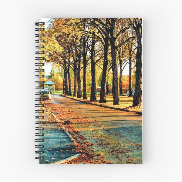 Item preview, Sköldungagatan Uppsala In Autumn designed and sold by Barry W  King.