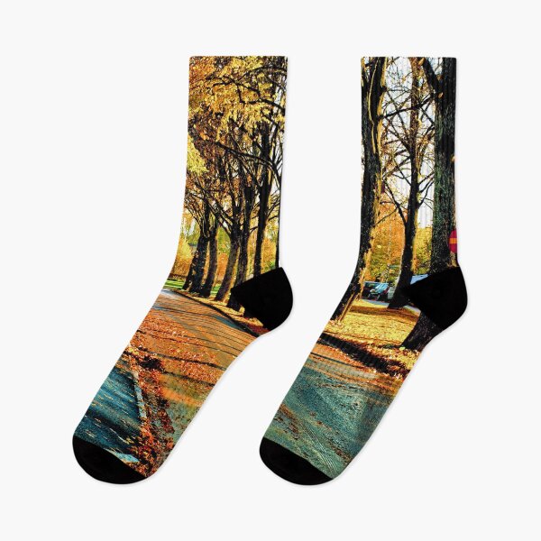 Item preview, Sköldungagatan Uppsala In Autumn designed and sold by Barry W  King.