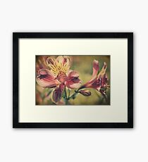 The Very Thought of You Framed Print
