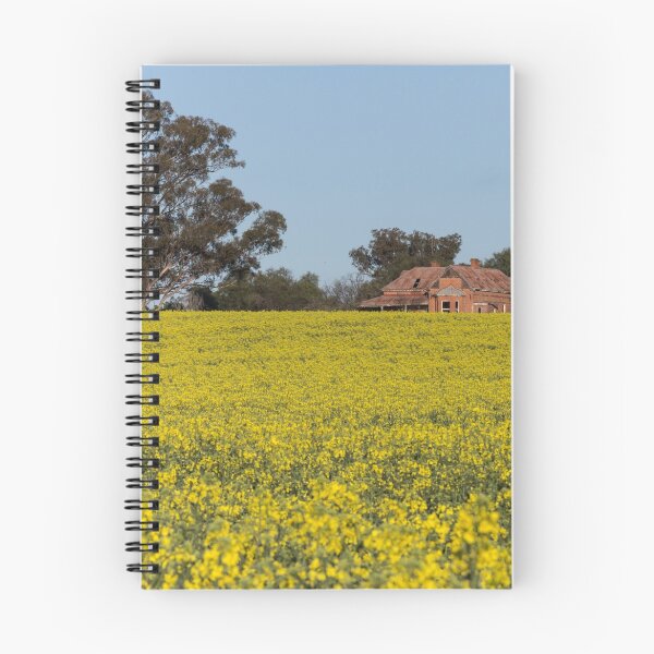 Aperçu de l'œuvre Canola Feild créée et vendue par Withns.