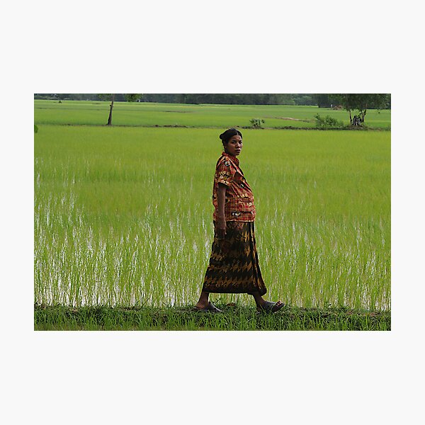 Item preview, A walk in the fields designed and sold by Carl LaCasse.