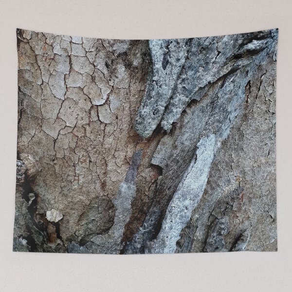 Item preview, Eucalyptus Tree Bark and Wood Texture 15 designed and sold by Anna Lemos.