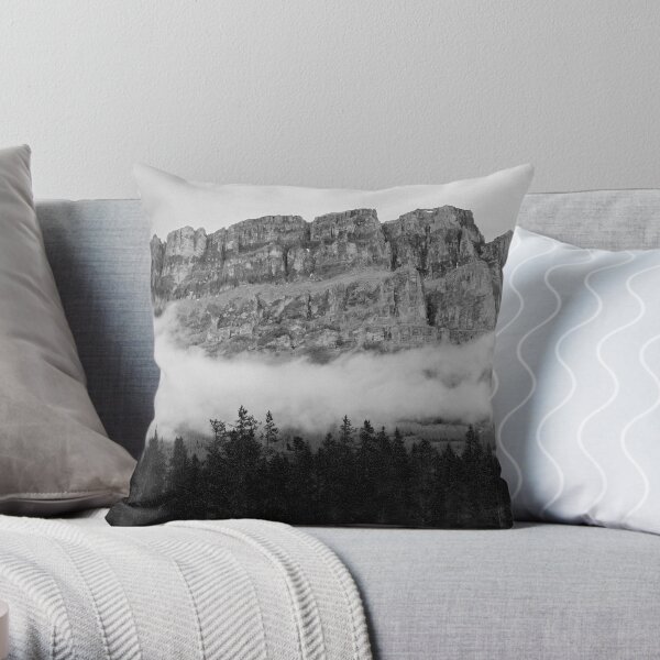 Here Be Dragons 2 Throw Pillow