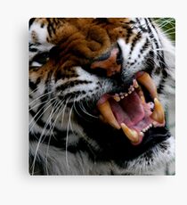 Too Close Canvas Print