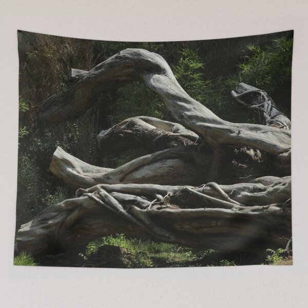 Item preview, Fallen Tree in the forest designed and sold by Anna Lemos.