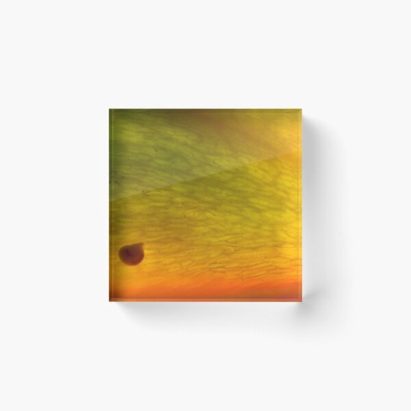 Item preview, come on! designed and sold by yvesrossetti.