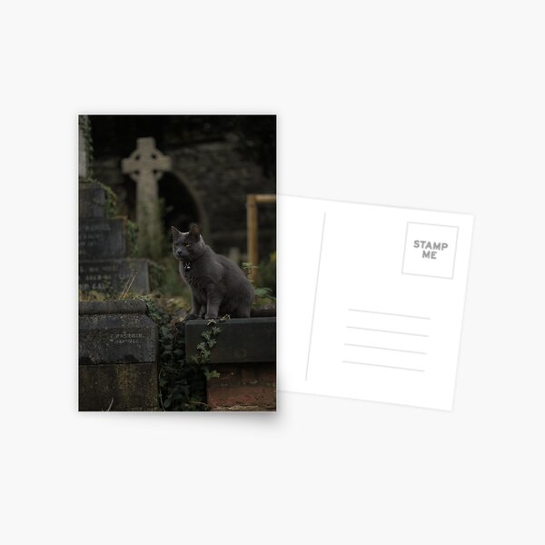 Item preview, Hanwell Cemetery Cat designed and sold by opticpixil.