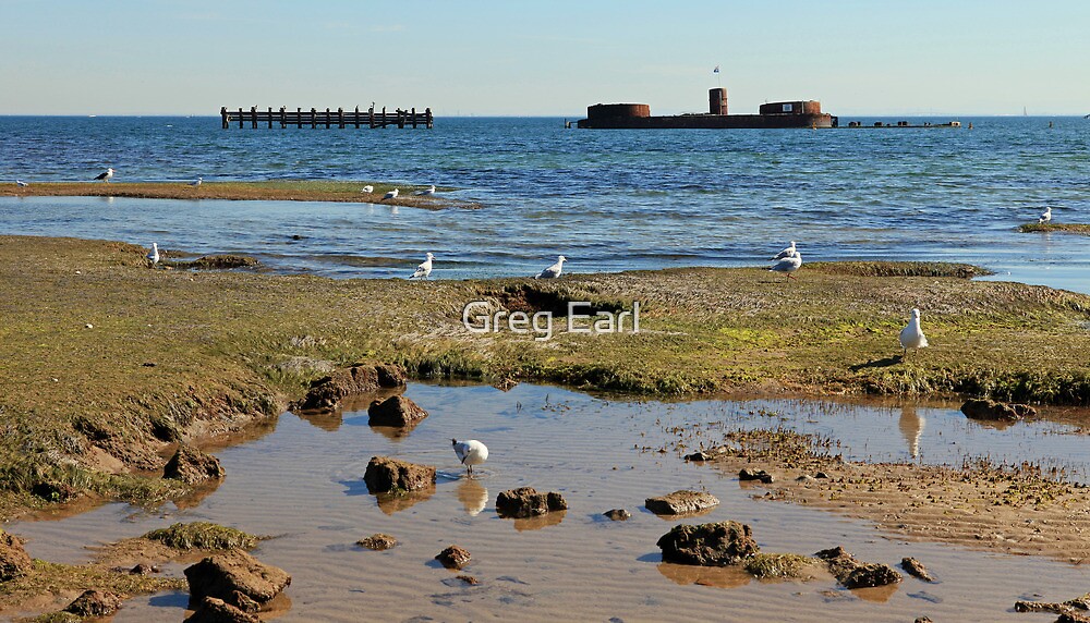 "Low Tide Half Moon Bay" by Greg Earl Redbubble