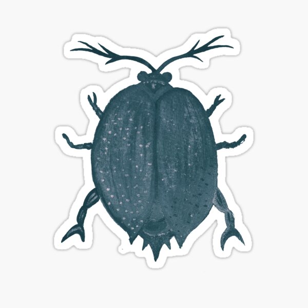 Beetle, Two Sticker