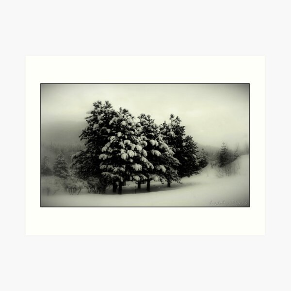 Peace on Earth Art Print
