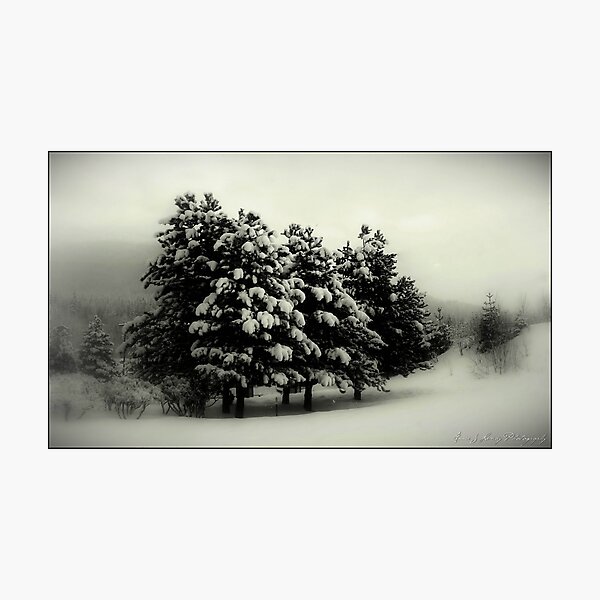 Peace on Earth Photographic Print