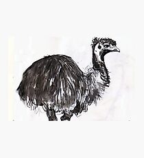 emu#2 Photographic Print