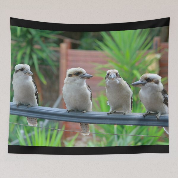 Item preview, Kookaburra family group. Backyard birds. designed and sold by RankAmateur.