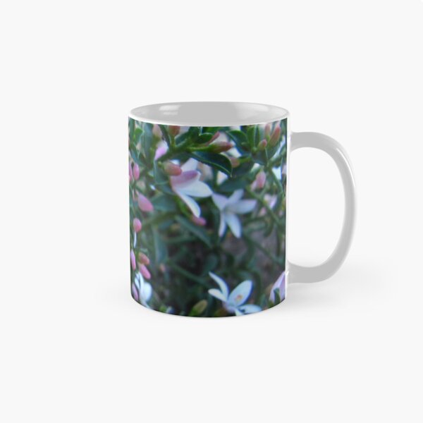 Item preview, Australian Native, Philotheca 'Star Struck'.  Our Garden,  Adelaide Hills. designed and sold by RitaBlom.