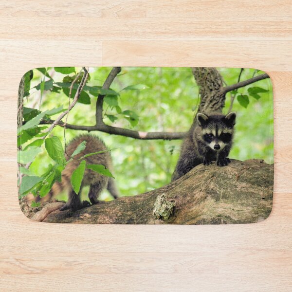 Item preview, Racoons designed and sold by Barry W  King.