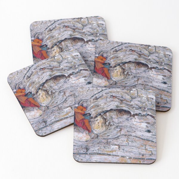 Item preview, Secrets of the Shore designed and sold by Marilyn Cornwell.