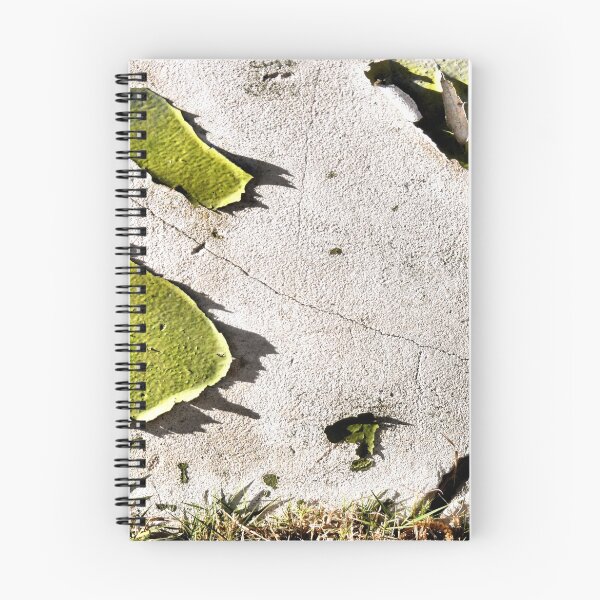 Item preview, Cracking Up designed and sold by Carla Jensen.