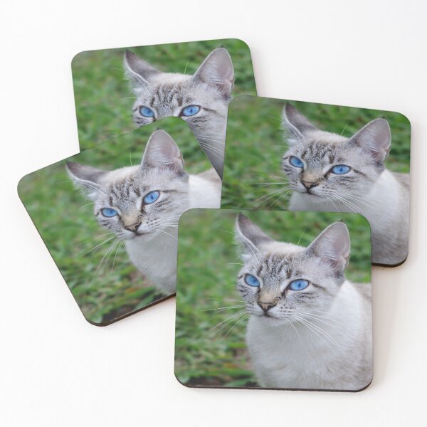 Item preview, Blue eye cat  designed and sold by Simon-dell.